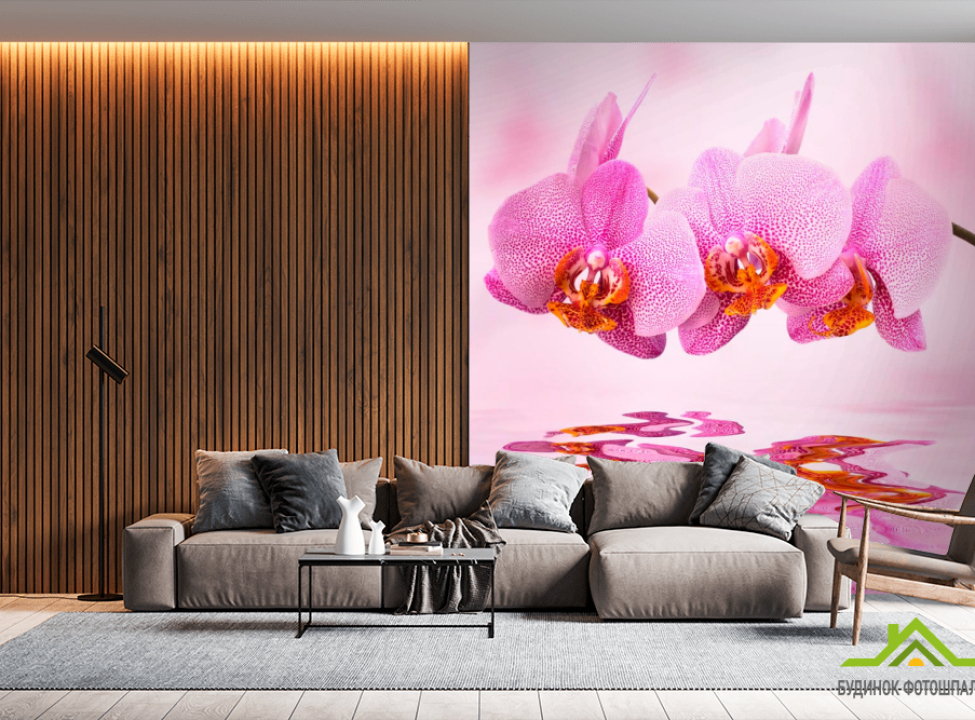 выбрать Фотообои Орхидеи розовые Каталог фотообоев на стену
