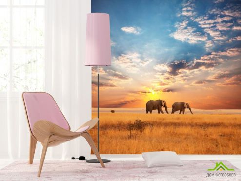выбрать Фотообои Слоны на закате Фотообои Фотообои Животные: квадратная, фото ориентация на стену