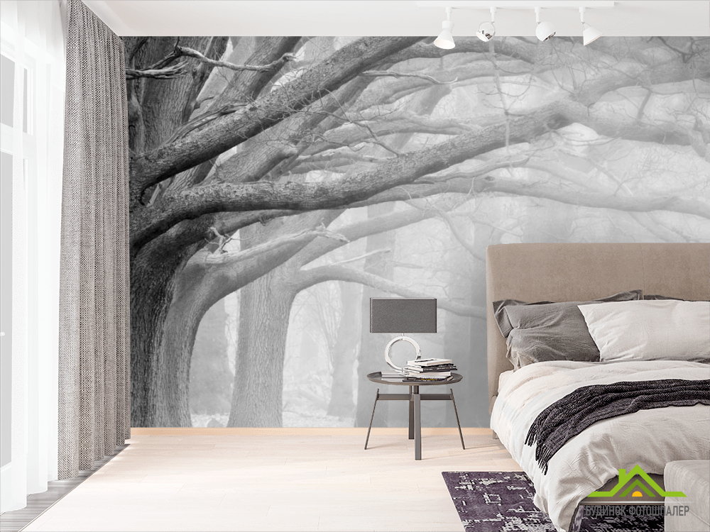Фотообои деревья
