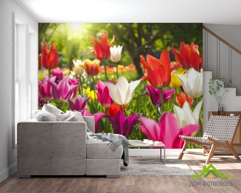 выбрать Фотошпалери Гострокінцеві тюльпани Фотошпалери Фотошпалери Квіти: різнобарвний на стіну