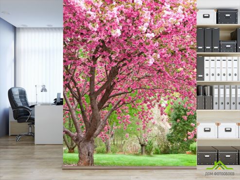 выбрать Фотообои Цветущие вишни Фотообои Розовые деревья на стену