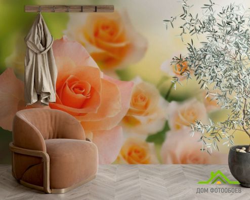 выбрать Фотошпалери Кремові трояндочки Фотошпалери Фотошпалери Квіти: квадратна, горизонтальна орієнтація на стіну