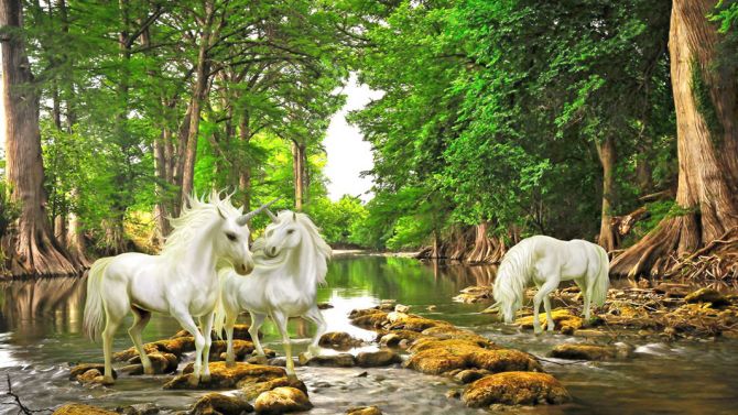 Фотошпалери Білі єдинороги в лісі