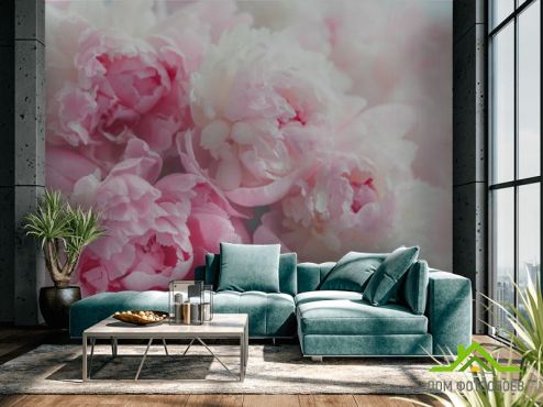 выбрать Фотообои Розовые пионы Фотообои Фотообои Цветы: горизонталная, горизонтальная ориентация на стену