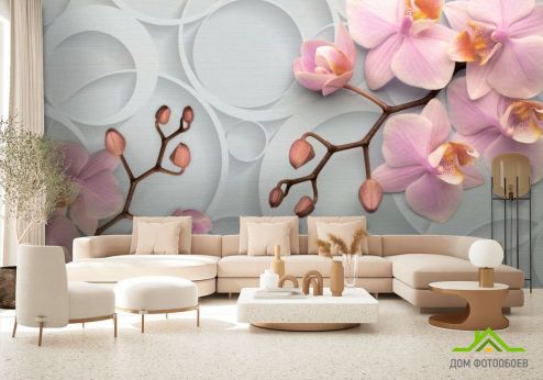 выбрать Фотообои Орхидея в кругах Фотообои по стилю на стену