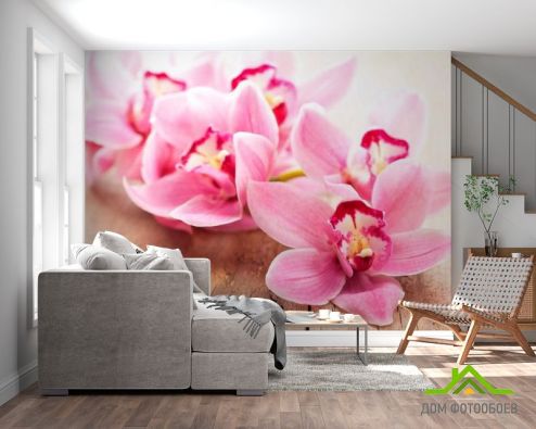 выбрать Фотообои Орхидея Фотообои Цветы на стену