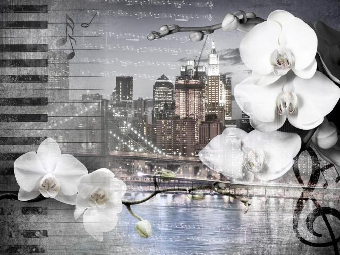 Фотообои Орхидея на фоне города