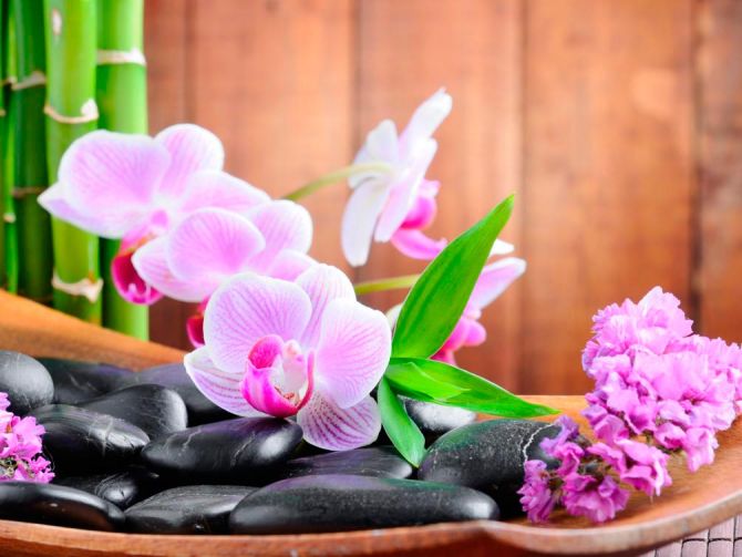 Фотошпалери Блідо-рожеві орхідеї