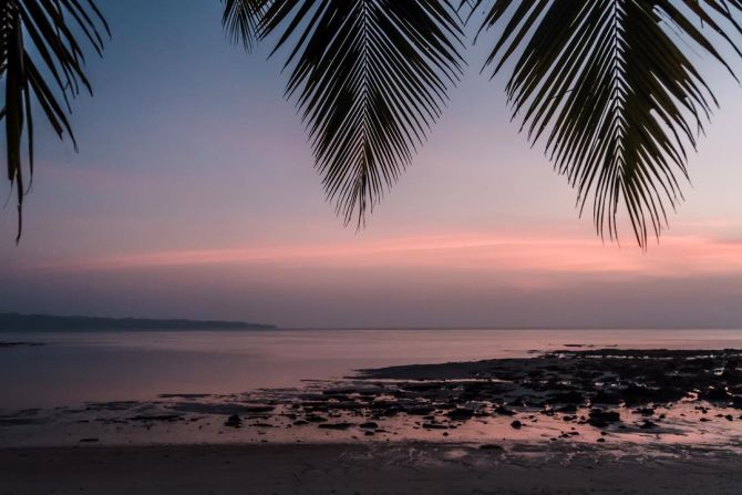 Фотообои закат под пальмой