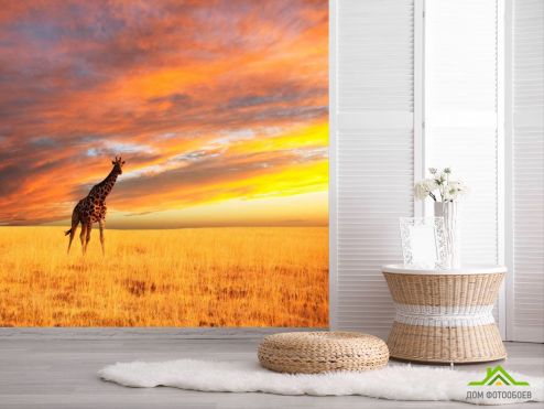 выбрать Фотообои Жираф в поле  на стену