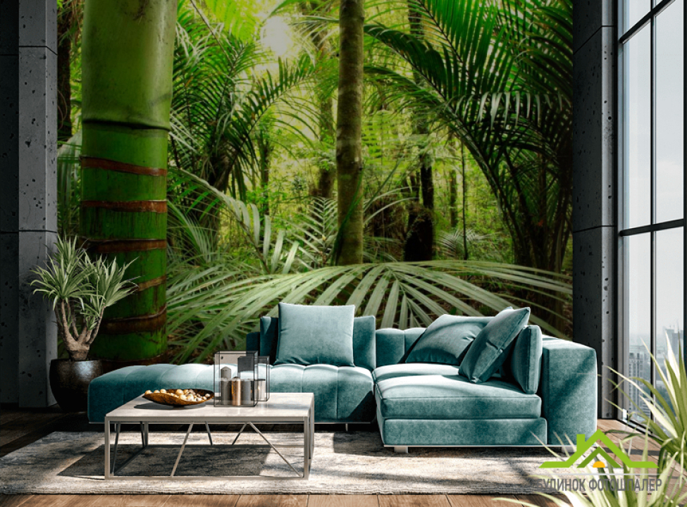 выбрать Фотошпалери Бамбук, листя Фотошпалери ліс на стіну