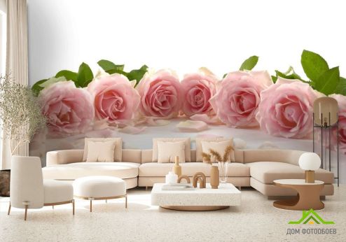 выбрать Фотообои розовые розы по кругу Фотообои Розы на стену