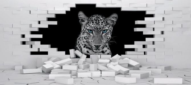 3д фотообои Леопард