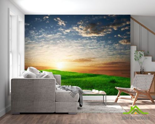 выбрать Фотообои Трава, небо Фотообои Фотообои Природа: фото, горизонталная, горизонтальная  на стену