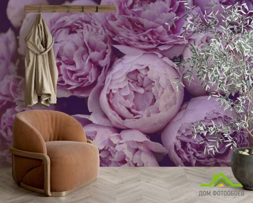 выбрать Фотообои Фиолетовые пионы Фотообои Фотообои Цветы: горизонталная, горизонтальная на стену