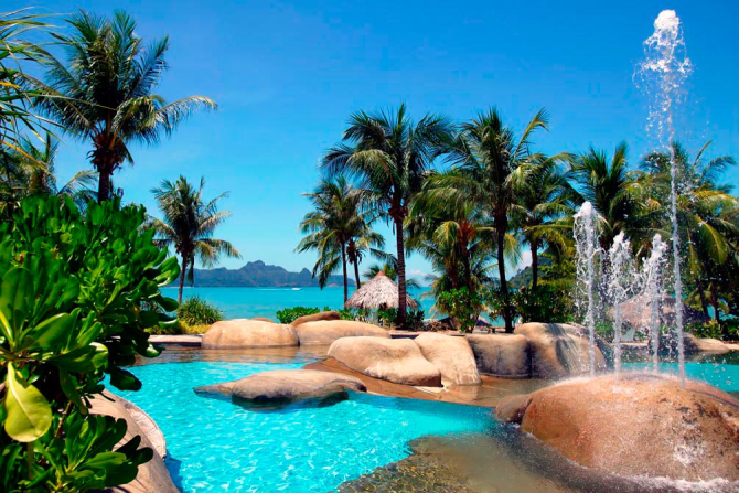 Фотошпалери Морська затока, пальми