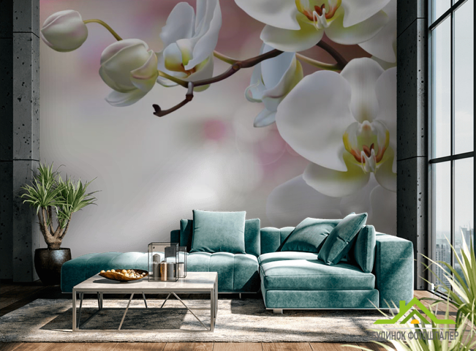 выбрать Фотошпалери Орхідеї Каталог фотошпалер на стіну