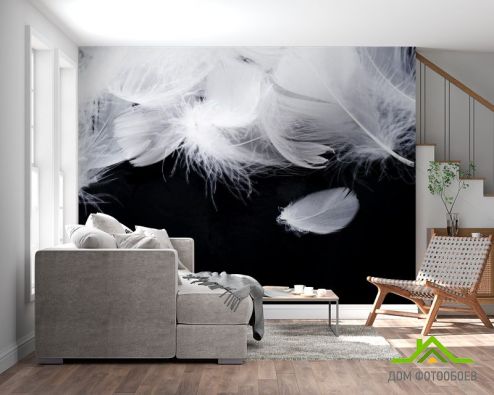 выбрать Фотообои белые перья на черном фоне Фотообои перья на стену