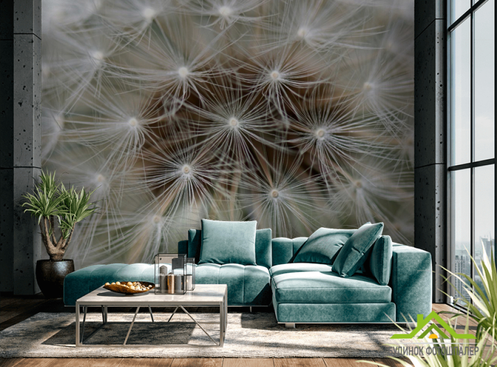 выбрать Фотошпалери насіння на кульбабі Каталог фотошпалер на стіну