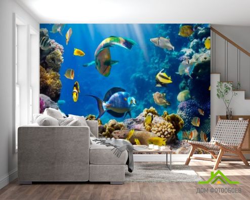 выбрать Фотообои Рыбки на морском дне Фотообои Рыбы и море на стену